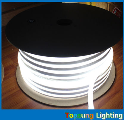 Màu sắc khác nhau 10 * 18mm kích thước đèn neon LED với điện áp 110/220/24