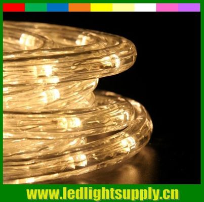 LED dải LED linh hoạt 1/2 '' 2 dây thừng đèn bền với điện áp thấp 24/12v