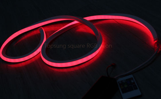 bán nóng hình vuông màu đỏ 24v 16 * 16m đèn LED neon flex cho trang trí