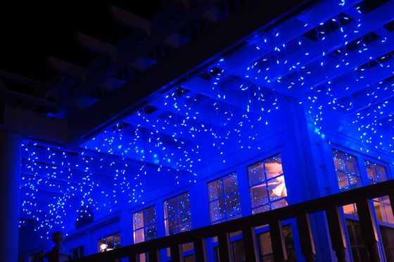 bán nóng LED 110V đèn Giáng sinh chống nước ngoài đèn băng cho tòa nhà