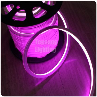 chất lượng cao hình vuông dẫn neon flex 12v màu tím đèn dây chuyền hồng cho ứng dụng dự án kỹ thuật
