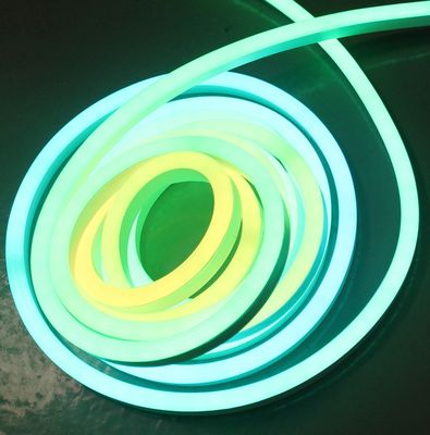 LED đèn neon sáng SPI kỹ thuật số Neon Flex dây chuyền theo đuổi năng động