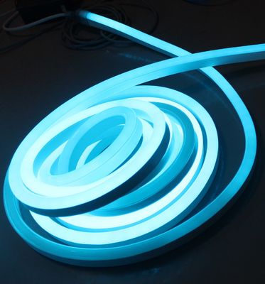LED pixel flex neon ánh sáng động dây neonflex kỹ thuật số 24v DMX bộ điều khiển