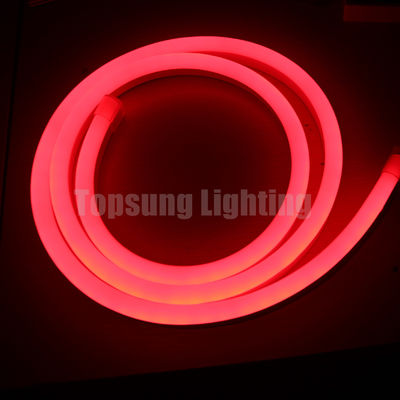 Magic RGB đèn neon LED 24v đèn Giáng sinh kỹ thuật số ống neon LED linh hoạt