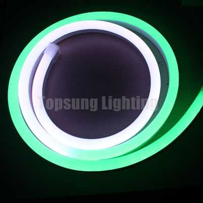Giáng sinh năng động linh hoạt dây neon ống mái vòm bề mặt LED pixel flex 24V