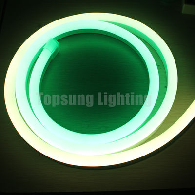 Giáng sinh năng động linh hoạt dây neon ống mái vòm bề mặt LED pixel flex 24V