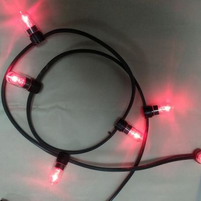 Điện áp thấp Điện dẫn dây đèn màu hồng màu Giáng sinh dẫn 100m dây 666LED